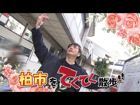 『市町村てくてく散歩』第137回「柏市」(2024.12.20送)【チバテレ公式】