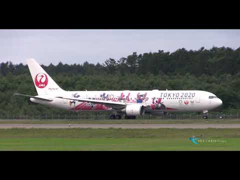 " みんなのJAL2020ジェット2号機 " Japan Airlines(JAL) Boeing767-300ER JA601J