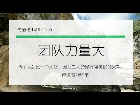 11月19日《灵命日粮》文章视频-团队力量大