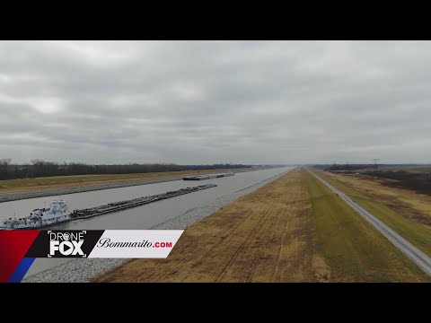 DroneFOX