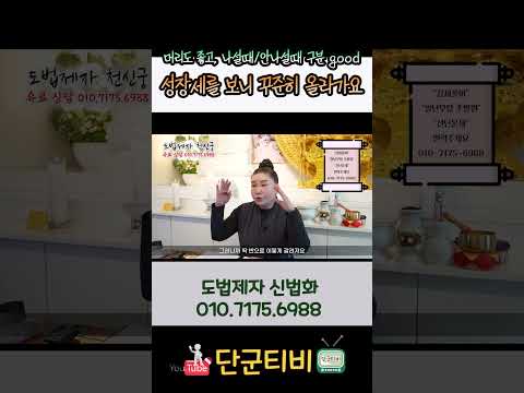 덕보는 부분이 많아!! 사주가 괜찮네!~/도법제자 신법화/천지도운천신궁/부산점집