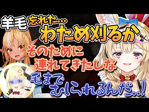 【切り抜き】ポ「欲しいものは思い出…かな…」フ「じゃあポルカの取り分は無しということで！」わ「二人で山分けしよっか！」【尾丸ポルカ/不知火フレア/角巻わため】