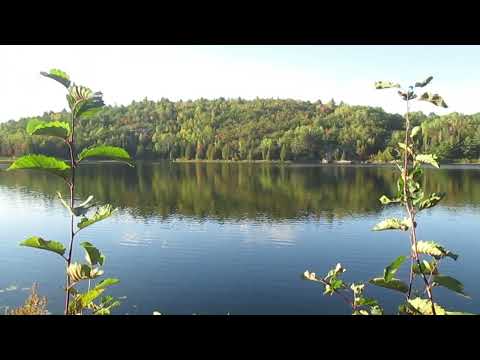 This Evening at McCarthy Lake