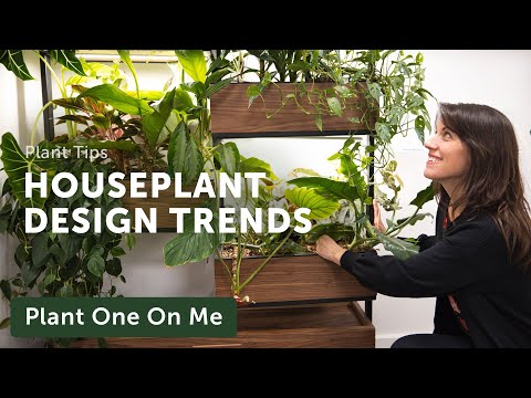 2024 HOUSEPLANT DESIGN TRENDS  — Ep. 365