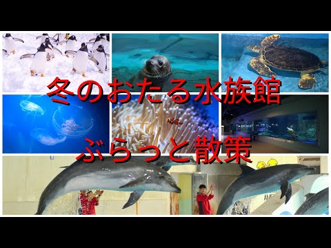 冬のおたる水族館ぶらっと散策【過走行ワゴンRで走り回り動画撮ってます】まだまだ走れます