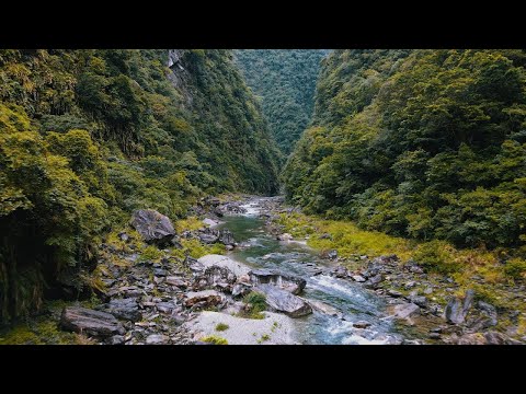 花蓮溯溪秘境？黃金峽谷！ ft 背包狂人. 野生攝影師Paul .旅遊攝影師Wilhelm