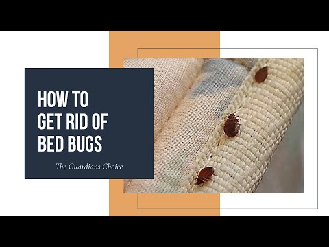 How to Get Rid of Bedbugs: A Step-by-Step Guide | The Guardians Choice