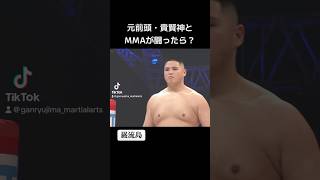 What if former SUMO and MMA fought? [Ganryujima]