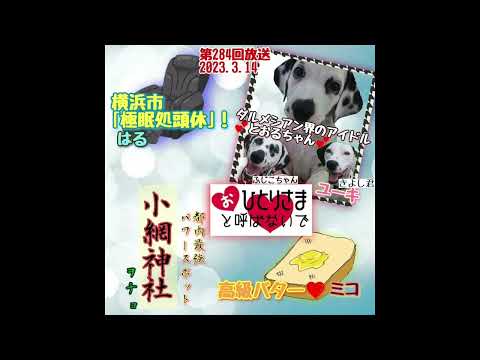 【2023/3/14】第284回　おひとりさまと呼ばないで