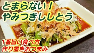 【やみつきししとう】とまらない！これが1番美味しい獅子唐の食べ方！作り置き/常備菜/副菜/簡単節約レシピ/おつまみ/夏野菜/免疫力アップ/美肌健康/疲労回復