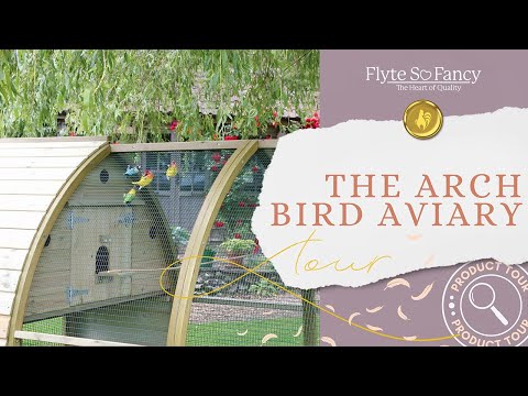 The Arched Bird Aviary: Discover the Beauty and Quality at Flyte so Fancy