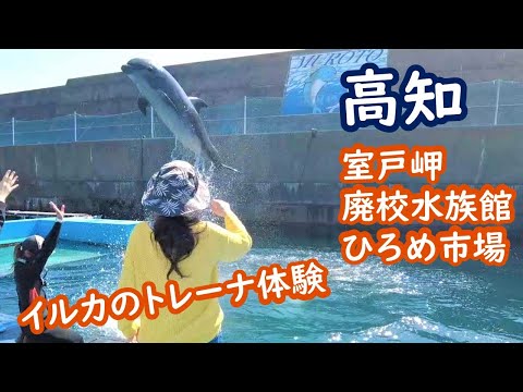 (Japan Travel) Kochi Muroto Abandoned School Aquarium, Muroto Dolphin Center, Hirome Market 026