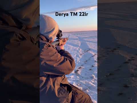 Shooting the Derya TM 22lr