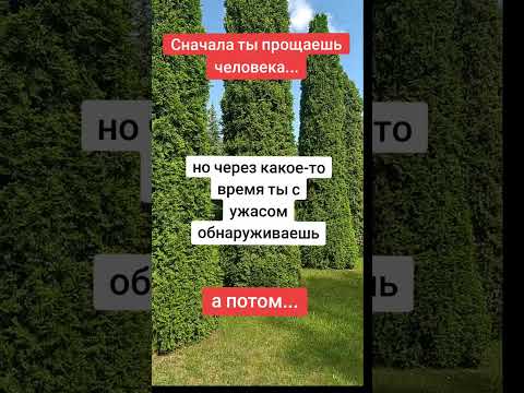 Сначала ты прощаешь человека...