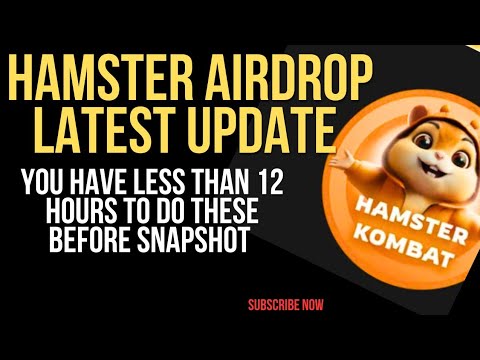 HAMSTER KOMBAT LATEST UPDATE: TWO MAJOR THINGS YOU MUST DO BEFORE SNAPSHOT BY 7PM. @IkabaMichael