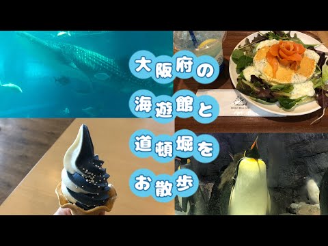 大阪府の海遊館と道頓堀を散策（ジンベイザメの迫力に腰抜かし編）前編