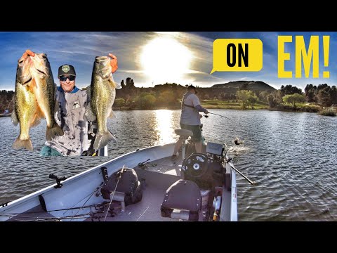 My Biggest Five Fish Limit!-Castaic Lake