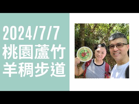 【桃園】蘆竹羊稠坑森林步道 甲蟲季 20240707