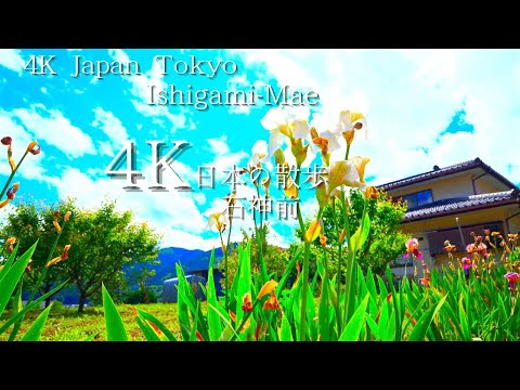 A walk starting from Tokyo Ishigami-mae Station 4K HDR