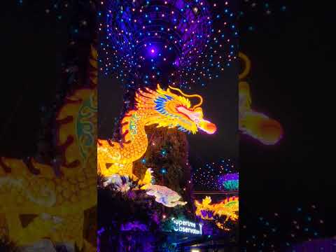 Marina bay 燈光show好运一条龙。🐉