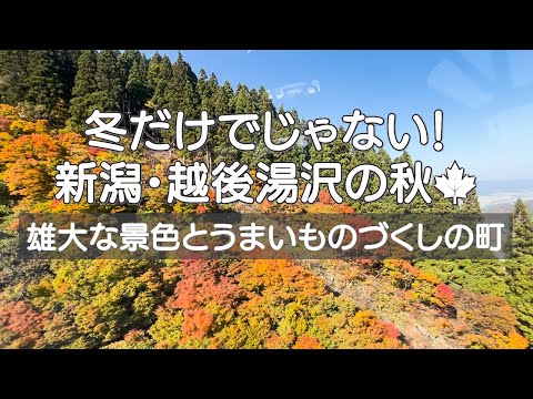 【新潟・越後湯沢】雄大な自然を紅葉の時期に満喫🍁 冬だけじゃない！！駅近で存分に楽しめる越後湯沢の魅力😌 移住先として人気なのも納得💯