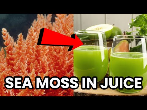 The Benefits of Sea Moss in Juice | Goodnature Radio 22