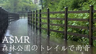 【ASMR/ 環境音】雨の散歩道不眠症、睡眠のための最高の雨音 | 雨の音、ホワイトノイズ、リラクゼーション、自然 | リラックスする環境音 【環境音bgm】