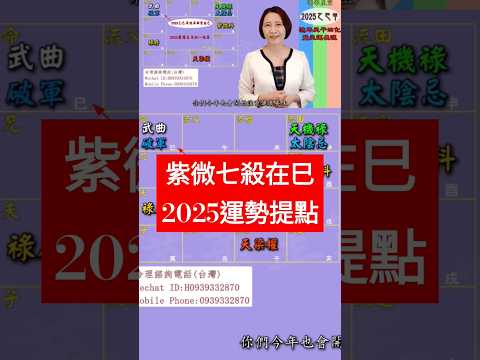 #紫微七殺在巳 #2025運勢提點【2025乙巳年天運啟示錄暨流年命宮在巳12組命盤】 #2025流年運勢 #2025流年四化 #2025 #2025紫微流年運勢 #chinese astrology