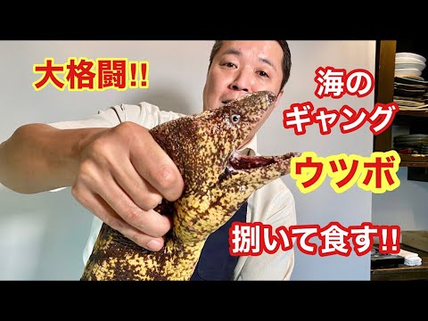 【巨大ウツボに大苦戦】全4品ビックリするほど美味でした!!