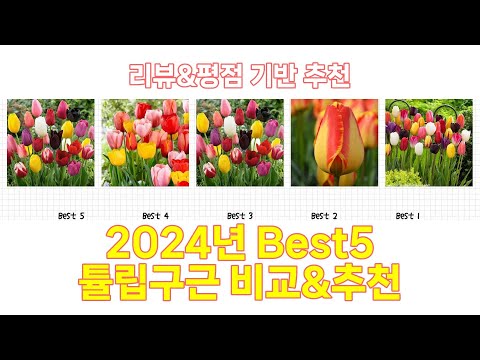 2025년 튤립구근 Best 상품 추천