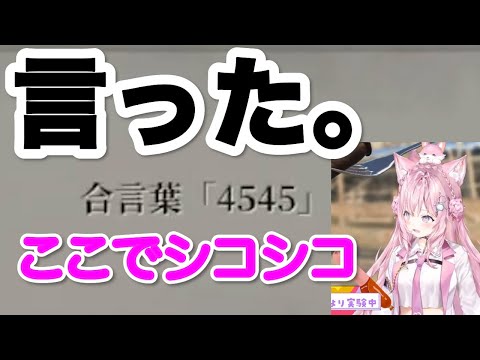 【博衣こより】言った。【ソセレ/ホロライブ切り抜き】