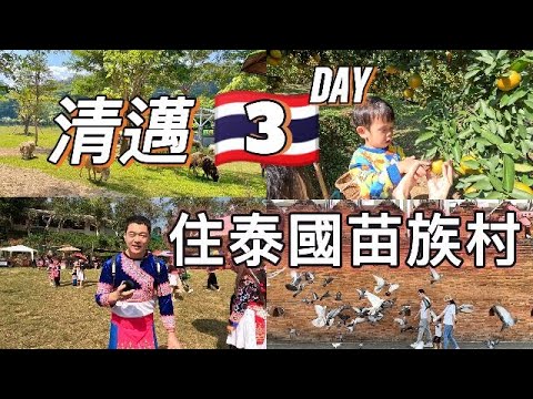 泰國清邁3天，塔佩門，寧曼路夜市，住苗族村