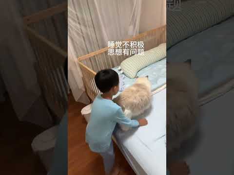 这猫总喜欢找个伴陪他睡，原来是给他当抱枕…