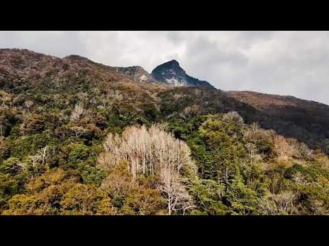 #苗栗泰安虎山 #泰安風景區