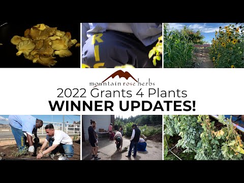 Where Are They Now: 2022 Grants 4 Plants Recipients