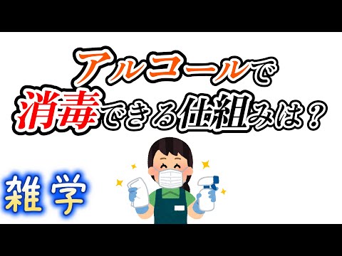 【雑学】消毒に関する雑学（アルコール）