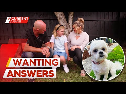 Family's anguish as neighbour allegedly caught on camera bashing missing dog | A Current Affair