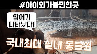 [4K] 엉클브룩스쥬 | 아이와가볼만한곳 | 국내 최대 실내 동물원