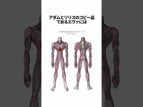 【エヴァンゲリオン】アスカの可愛いすぎるエピソード雑学【総集編】 #EVANGELION #EVA エヴァ