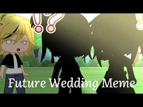 Future Wedding Meme (I did this coz I was bored)