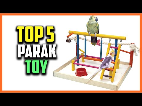 ✅Top 5 Best Parakeet Toy 2024