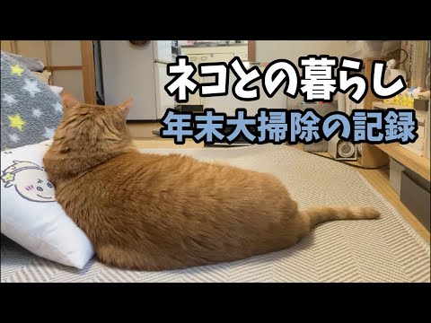 【40代独身生活vlog】雑な大掃除と消防点検の記録