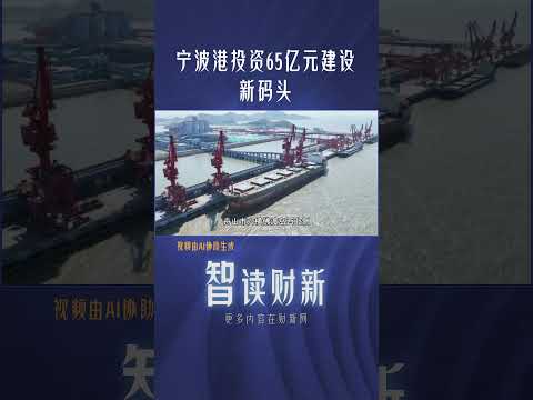 宁波港投资65亿元建设新码头 #ningbo #port #new #investment #chinanews #宁波 #港口 #投资 #扩建