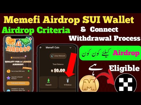 Memefi Airdrop Criteria 🤯 | Memefi Sui Ton wallet new update | Memefi campaign complete eligible