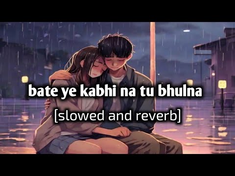 BAATEIN YE KABHI NA TU BHULNA || slowed and reverb ||new lofi song|| heart touching new lofi song ||