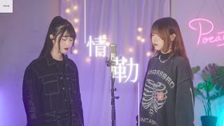 Marz23 -【情勒GASLIGHT】| Cover 7en 三仟 | Pocats Studio