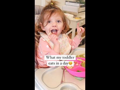 What My Toddler Eats in a Day (Pt. 1)