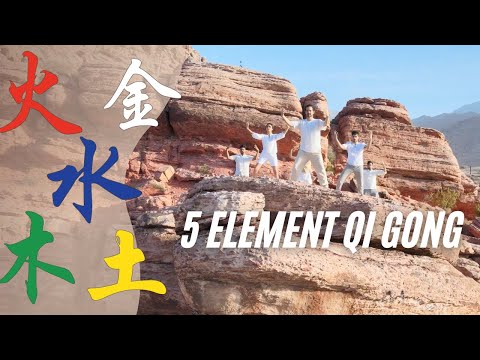 5 Element Holden Qigong - Beginner Form