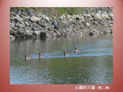 【祝福職場系列】心靈的力量 - 第二集