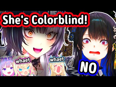 Nerissa's Getting Cornered by Shiori & Biboo Meanwhile FWMC...【Hololive EN】